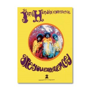 Jimi Hendrix Are You Experienced? Flag
